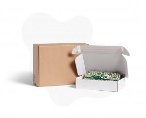 Delivery boxes with adhesive strips packhelp