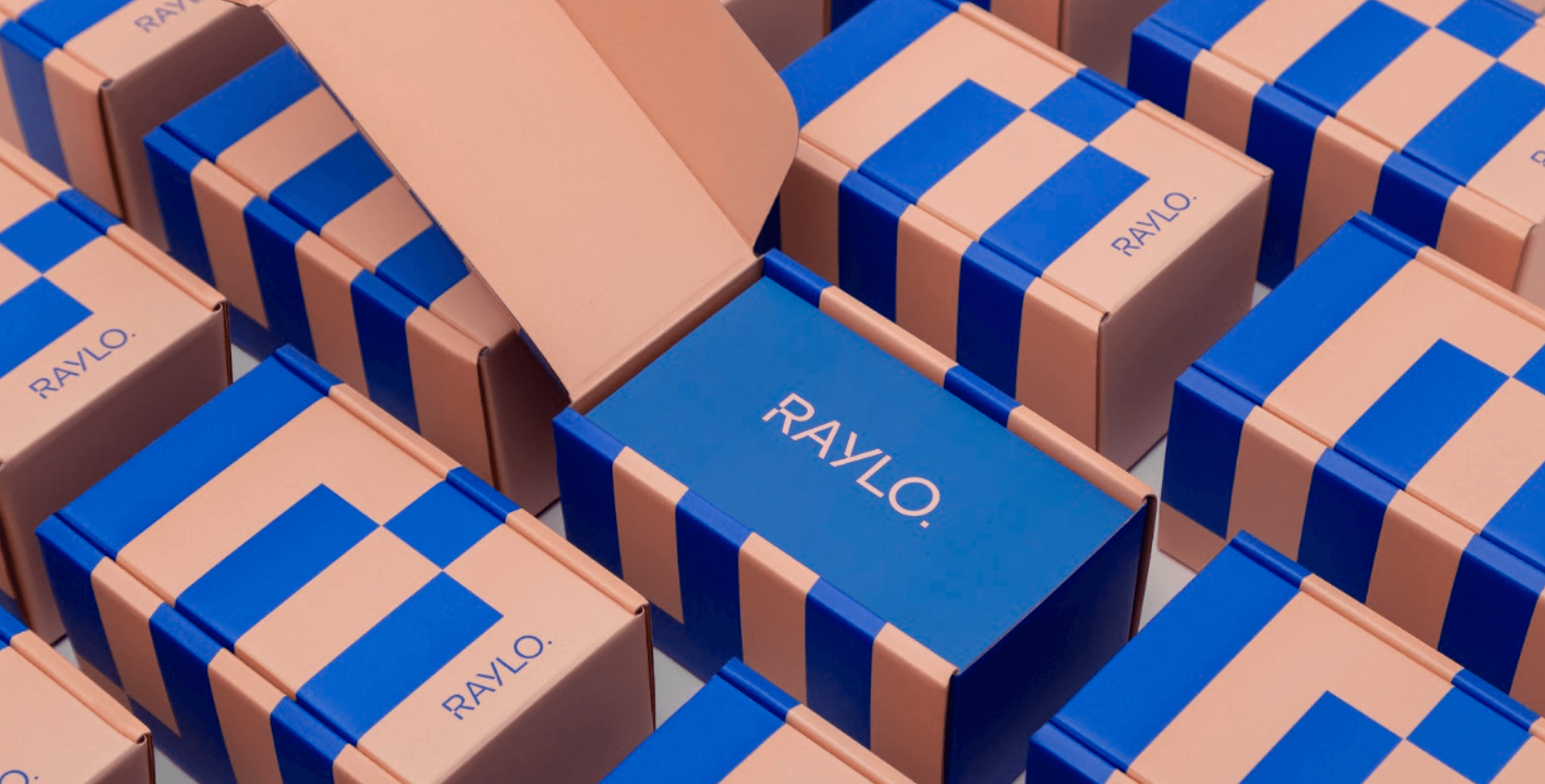 raylo - printed boxes for shipping - packhelp case study